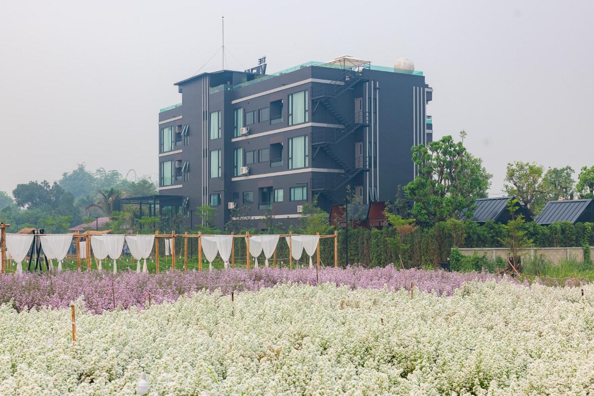 Hotel The View Chiang Dao Extérieur photo